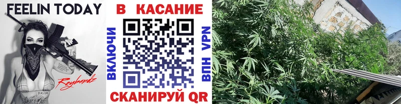 Где можно купить наркотики Буйнакск Гашиш A PVP МЕФ Конопля