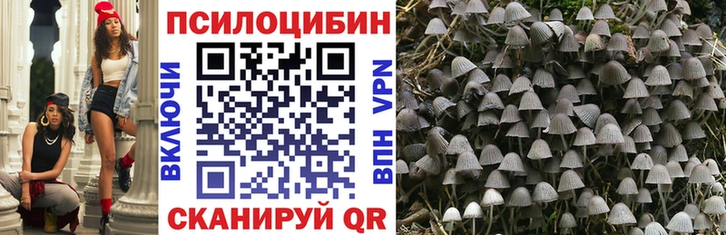 где можно купить наркотик  Буйнакск  ссылка на мегу вход  Псилоцибиновые грибы мицелий 